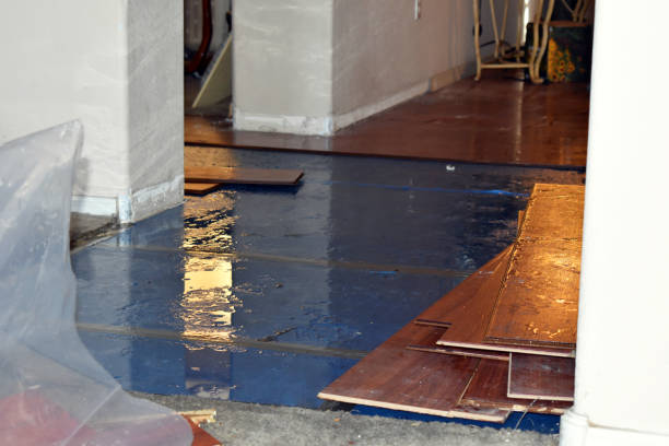 Professional Water Damage Restoration technician working in Abbeville, LA